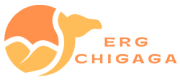 ERG CHIGAGA (2) (1)